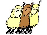 Three sheep hearing the voice of their shepherd whom they know (Jesus: I know my sheep, they know my voice)
